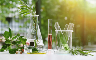 Do plants still hold the answers for stress and mental health?