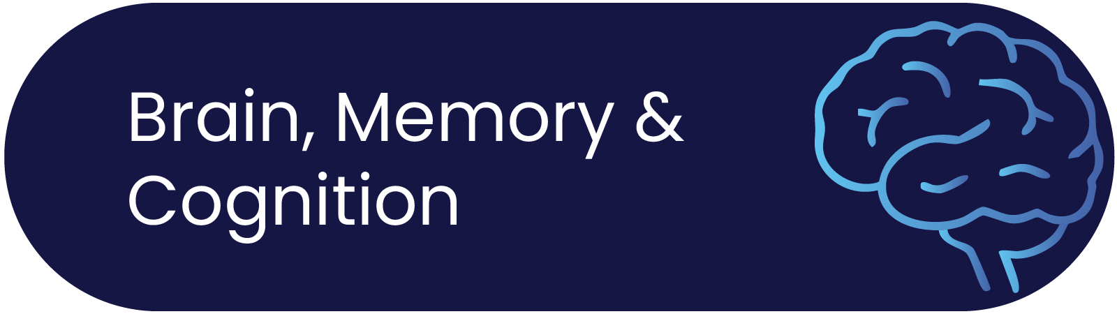 Brain, Memory & Cognition Banner