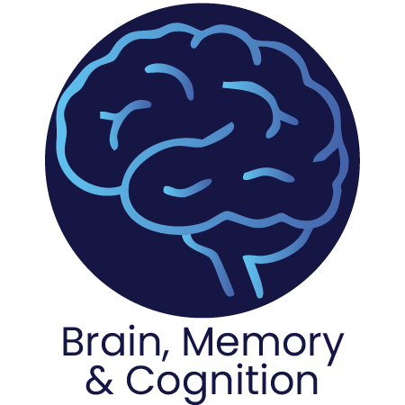 Brain, Memory & Cognition Banner