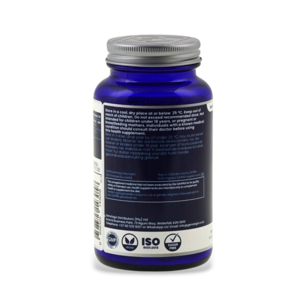 Moringa Oleifera - Image 2
