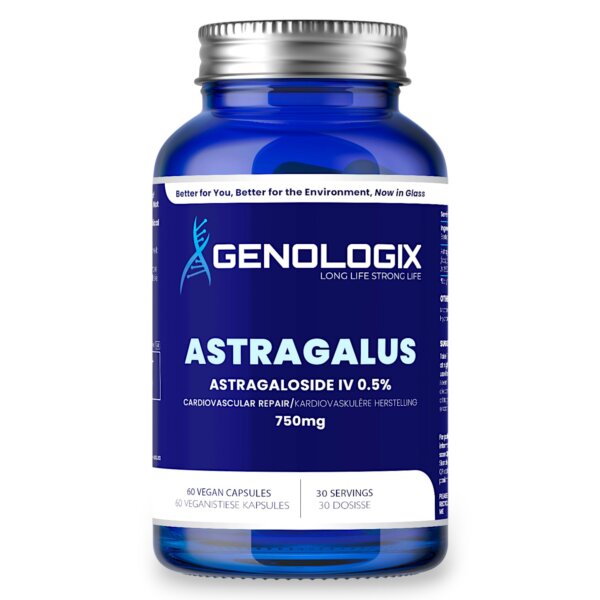 Astragalus