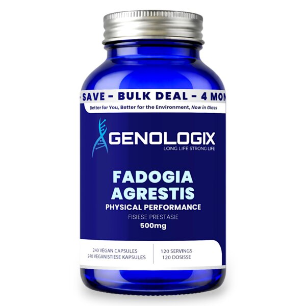 Fadogia Agrestis BULK